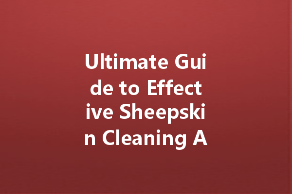 Ultimate Guide to Effective Sheepskin Cleaning Agents and Other Essential Cleaners