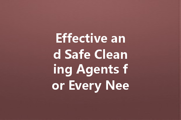 Effective and Safe Cleaning Agents for Every Need: From Kitchen to Automotive Solutions