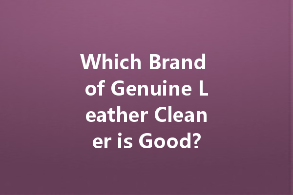 Which Brand of Genuine Leather Cleaner is Good?