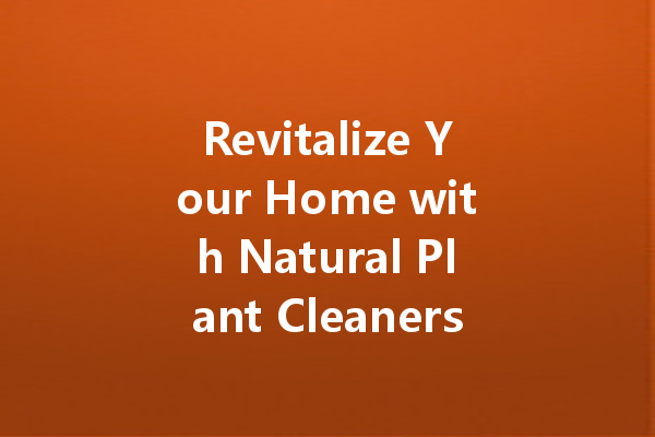 Revitalize Your Home with Natural Plant Cleaners: A Guide to Eco-Friendly Cleaning Solutions