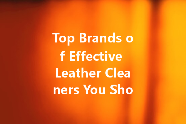 Top Brands of Effective Leather Cleaners You Should Consider