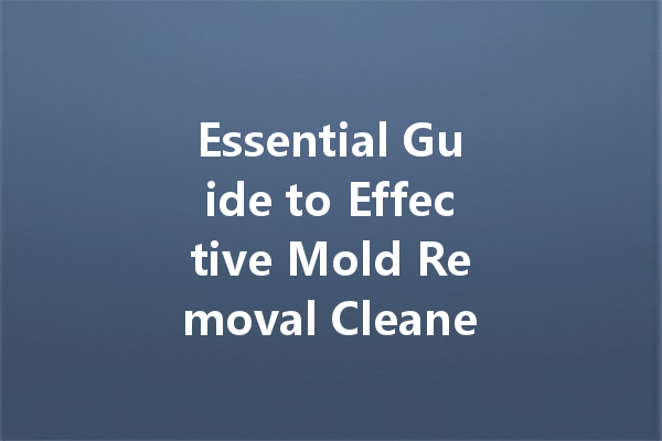 Essential Guide to Effective Mold Removal Cleaners: Choose the Right Solution for a Cleaner Home