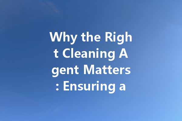 Why the Right Cleaning Agent Matters: Ensuring a Safe and Hygienic Environment