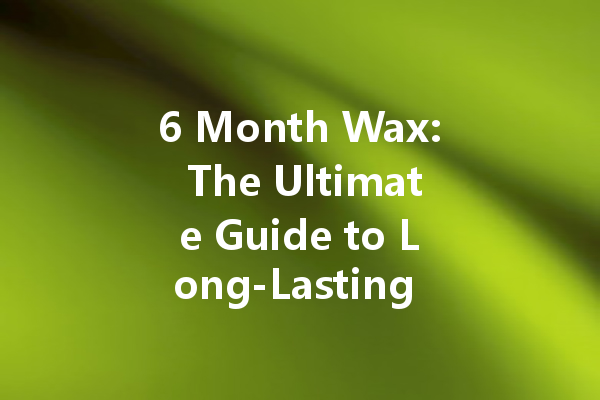 6 Month Wax: The Ultimate Guide to Long-Lasting Car Shine
