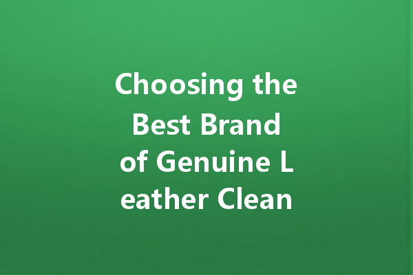 Choosing the Best Brand of Genuine Leather Cleaner: Top Recommendations and Tips