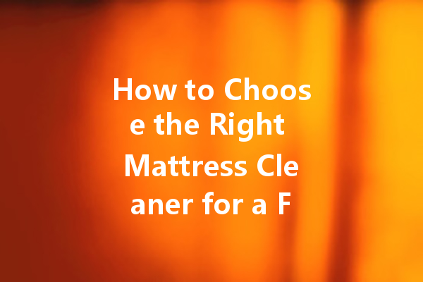 How to Choose the Right Mattress Cleaner for a Fresh and Healthy Sleep
