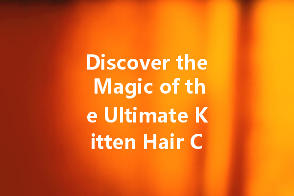 Discover the Magic of the Ultimate Kitten Hair Cleaner: Transform Your Home!