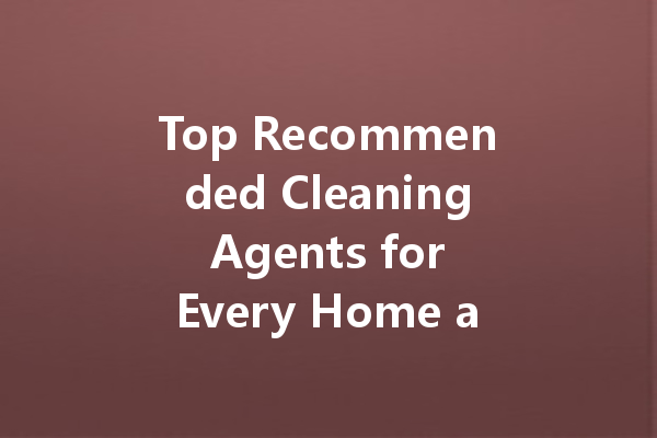 Top Recommended Cleaning Agents for Every Home and Vehicle