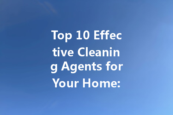 Top 10 Effective Cleaning Agents for Your Home: From Leather Bags to Shoes