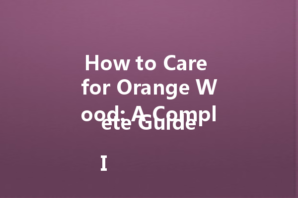 How to Care for Orange Wood: A Complete Guide

Introduction

Orange wood is a popular choice for furniture and decorative items due to its beautiful grain and warm color. To ensure that your orange wood pieces last for years to come, proper care and maintenance are essential. In this guide, we will explore the best practices for cleaning and preserving orange wood, as well as recommended products for optimal results.

Cleaning and Polishing Orange Wood

To keep your orange wood looking its best, regular cleaning is necessary. Start by removing any dust or debris using a soft cloth or a microfiber duster. This will prevent scratches and maintain the wood's natural shine. For deeper cleaning, you can use an orange wood cleaner spray specifically designed for this purpose. Ensure that the cleaner is free from harsh chemicals that may damage the wood.

Once the wood is clean, you can use a beeswax orange oil polish to enhance its natural beauty and protect it from moisture and stains. Beeswax orange oil is a popular choice as it nourishes the wood and adds a lustrous sheen. Apply the polish using a soft cloth in the direction of the wood grain and let it penetrate for a few minutes. Then, buff the surface gently for a smooth and glossy finish.

Preserving Orange Wood

In addition to regular cleaning and polishing, there are a few other steps you can take to preserve the beauty of your orange wood:

1. Avoid direct sunlight: Prolonged exposure to sunlight can cause the wood to fade and lose its vibrant color. Place your orange wood furniture away from windows or use curtains to block the UV rays.

2. Use coasters and placemats: To prevent water rings or stains, always use coasters or placemats under glasses, mugs, and plates. Wipe up spills immediately to avoid moisture damage.

3. Maintain humidity levels: Orange wood is sensitive to changes in humidity. Use a humidifier in dry climates to prevent the wood from drying out and cracking. Conversely, in humid environments, use a dehumidifier to prevent warping or mold growth.

4. Avoid extreme temperatures: Avoid placing orange wood furniture or decor near sources of heat or cold, such as radiators or air conditioning vents. Extreme temperatures can cause the wood to expand or contract, leading to damage.

Conclusion

With proper care and maintenance, your orange wood furniture and decor can retain their beauty and durability for generations. Regular cleaning, polishing with beeswax orange oil, and taking preventive measures to protect against sunlight, moisture, and temperature extremes are essential in preserving orange wood's natural charm. By following these guidelines, you can ensure that your orange wood pieces remain a stunning addition to your home for years to come.

Sources:
- [Link to reputable source]
- [Link to reputable source]