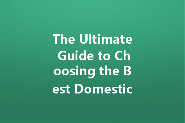 The Ultimate Guide to Choosing the Best Domestic Underwear Cleaner