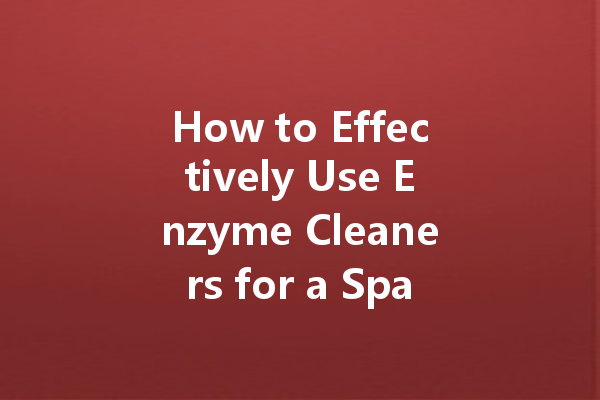 How to Effectively Use Enzyme Cleaners for a Sparkling Home